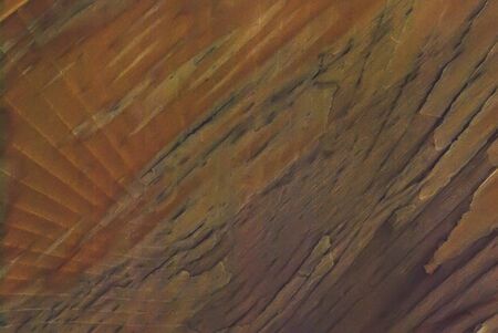 varicolored wooden grunge crackled texture with many shades
