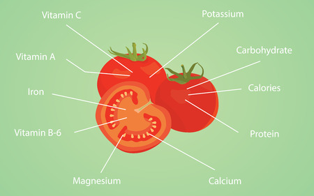 tomato tomatoes nutrition nutrient data information vitamin calories vector graphic illustrationのイラスト素材