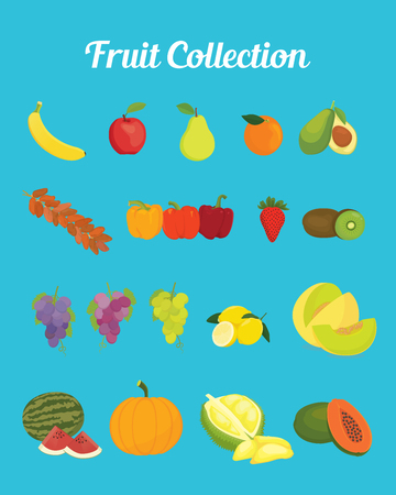fruit collection images with bright color vector graphic illustrationのイラスト素材
