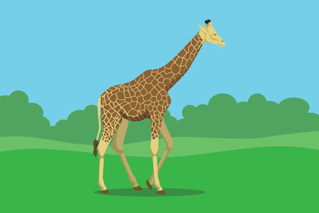 giraffe single isolated with grass and bush tree background vector graphic illustrationのイラスト素材