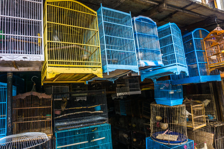 Colourful and beautiful cages made from wood and bamboo sell at traditional animal market photo taken in Depok Indonesiaの写真素材