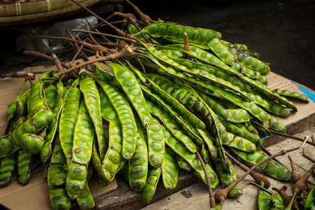 petai exotic food bean photo taken in bogor jakarta indonesiaの写真素材