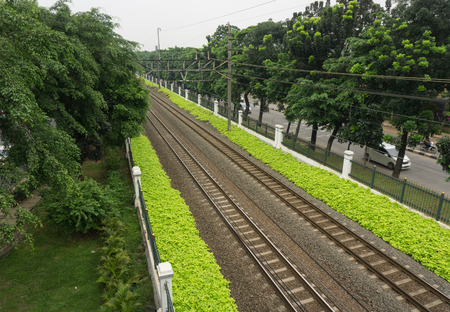 Railway surrounded by bushes on side of the street photo taken in Jakarta Indonesiaの写真素材