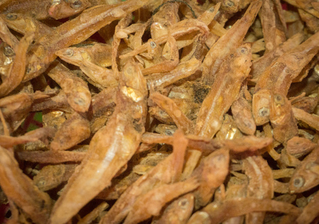 a dried salted small fish with closeup view in indonesia asiaの写真素材
