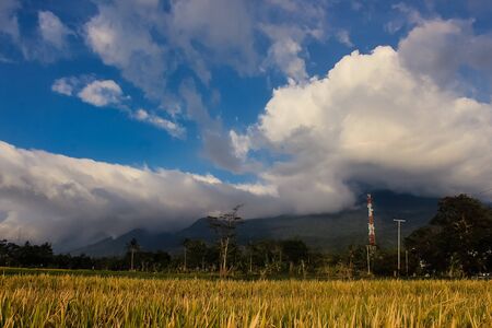 Landscape Mountain blue sky with beauty padi fieldの写真素材