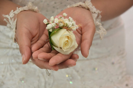 groom's corsageの写真素材