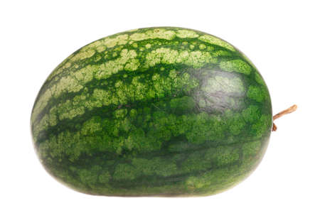 watermelon isolated on white backgroundの写真素材