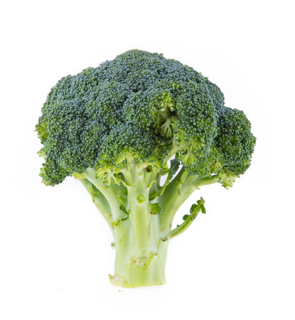Fresh broccoli isolated on white backgroundの写真素材