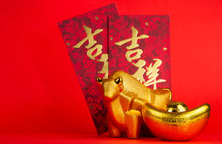 Chinese new year decoration. Translation of Chinese text appear in image is Auspicious