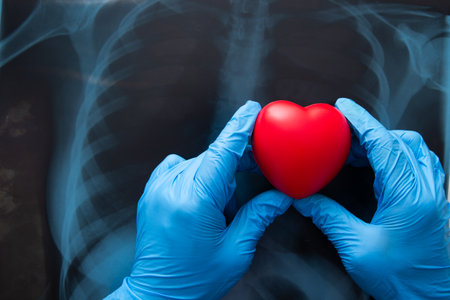 Red heart on x ray chest. Medical Concept