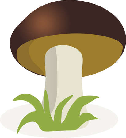 Vector illustration - Porcini mushrooms set Isolated on white backgroundのイラスト素材