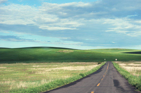 Grasslands road