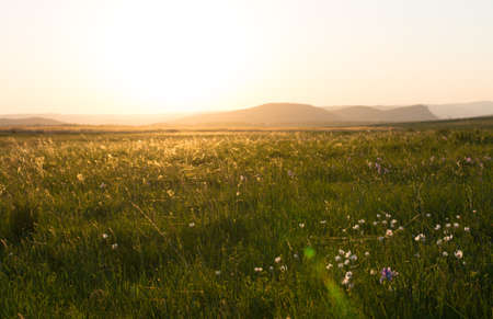 Green field at sunset sky and mountainsの写真素材