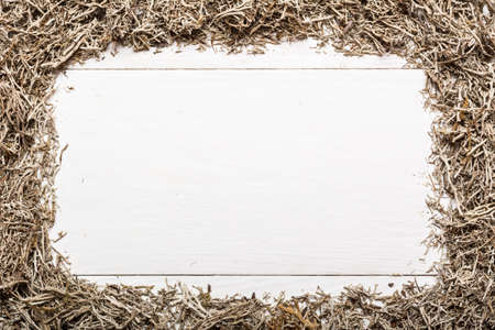 Dry snow moss frame with empty copyspace backgroundの写真素材