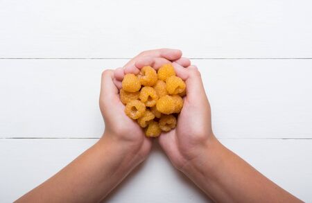 Hands full of yellow raspberries over white wooden table