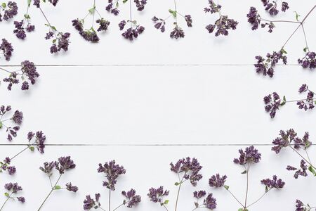 Origanum. Frame made of flowers with empty copy copy space