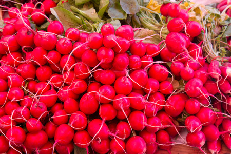 Fresh radish for sale at a market