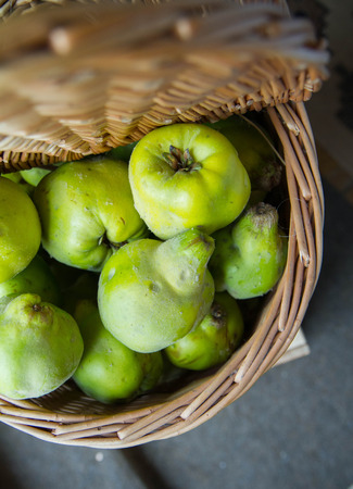 Basket full of Quince fruitの写真素材