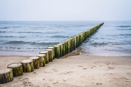 Raw of Wooden Breakwaters at a seasideの写真素材