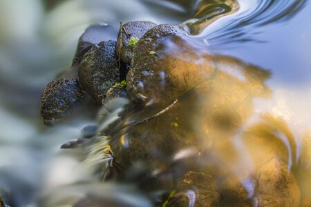 Rapid stream flowing over rocks on a sunny day - long exposure
