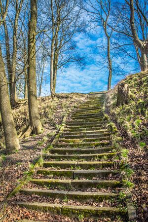 Stairs seen upwards, with trees around and a blue sky aboveの写真素材