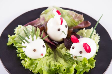 Eggs shaped like animals (with elements made of rosemary, radish, chive) on a plate, on a white...