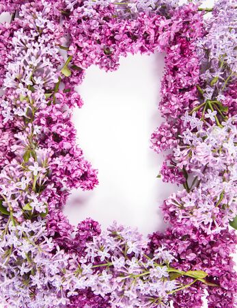 Garland of Lilac flowers on a white background with text space in the middleの写真素材