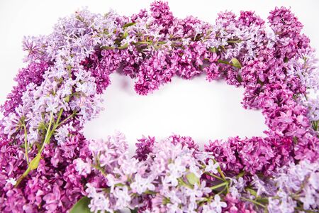 Garland of Lilac flowers on a white background with text space in the middleの写真素材