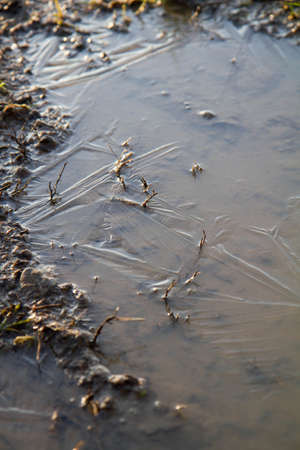 A frozen puddle in close up