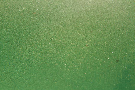 Winter background, a frosted surface