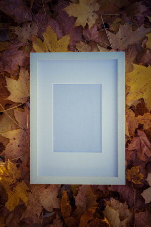 Blank picture frame among autumn leavesの写真素材