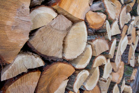 Pile of firewood of mixed colors and sizes