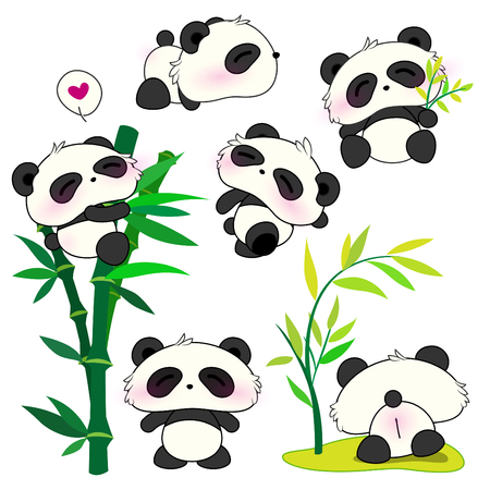 Panda set illustration.のイラスト素材