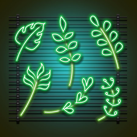 Vector of leaf neon set.  Green leaf collection.のイラスト素材