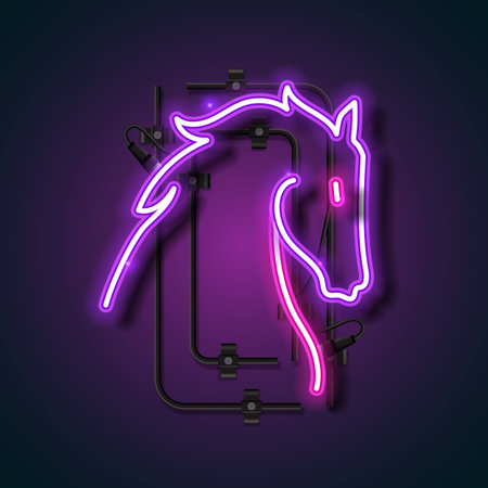 A vibrant neon sign illustration featuring the elegant outline of a horse's head in glowing purple and pink tones. This eye-catching design includes realistic light tubes and wall mounting elements, set against a dark gradient background to enhance the neon glow. Perfect for equestrian themes, western decor, night club posters, or modern vector art collections.vのイラスト素材