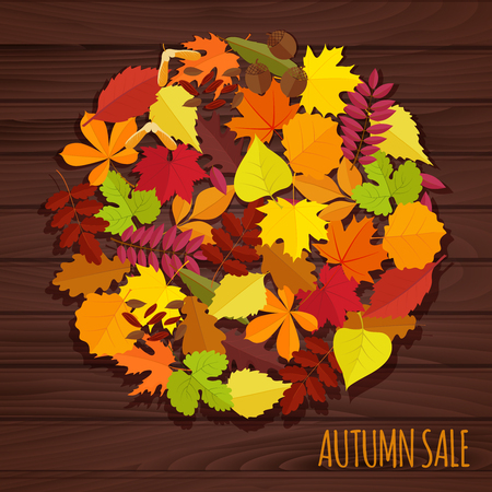set of autumn leaves and berriesのイラスト素材