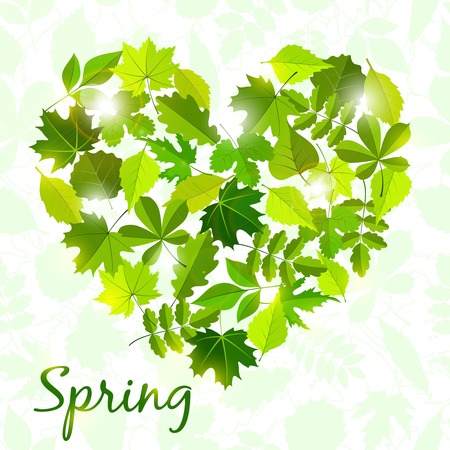 spring background from leaves .のイラスト素材