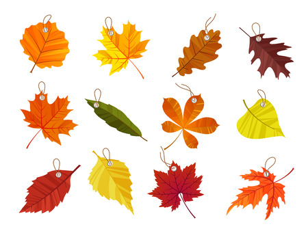 Autumn leaves tags isolated on white background.のイラスト素材