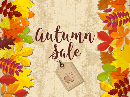 Autumn sale. Fall sale design. Can be used for flyers, banners or posters. Vector illustration with colorful autumn leavesのイラスト素材