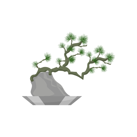 Bonsai. House plant realistic icon for interior decoration . Coniferous plant in flowerpot. vector illustrationのイラスト素材
