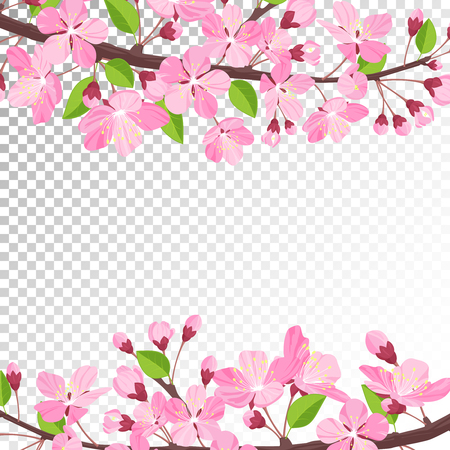 cherry blossom backgroundのイラスト素材