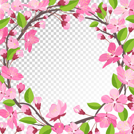 cherry blossom backgroundのイラスト素材