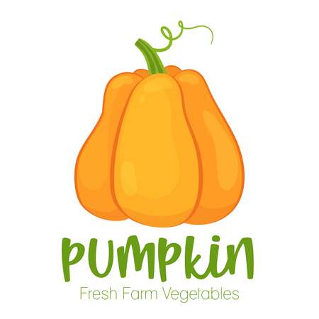 Vector pumpkin isolated on white background.Vegetable illustration for farm market menu. Healthy food design poster. Cartoon style vector illustrationのイラスト素材
