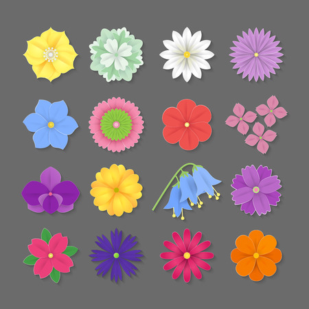 Set of colorful Paper Flowers white background. Vector eps 10 format.のイラスト素材