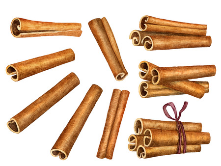 Cinnamon sticks isolated on white background, top viewのイラスト素材