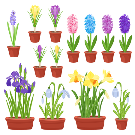 Spring flowers in flower pots. Irises, lilies of valley, tulips, narcissuses, crocuses, snowdrops and other primroses. Garden design icons isolated on white background. Cartoon style vector illustrationのイラスト素材