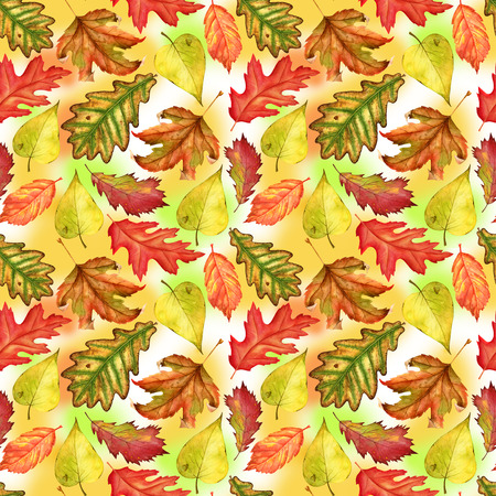 Seamless pattern with red, yellow and green-yellow autumn leaves on colorful background. Endless artwork hand-drawn. Floral wallpaper autumn plant forest. Watercolor illustrationの写真素材