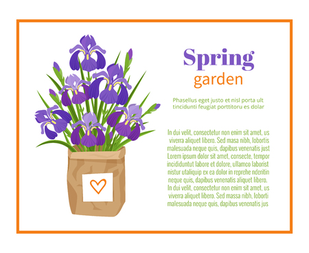 Spring garden flower brochure design backgrounds, vector templates of banners or business cards. Spring plant irises in modern ecological pot or paper bag and frame .Vector illustration.のイラスト素材