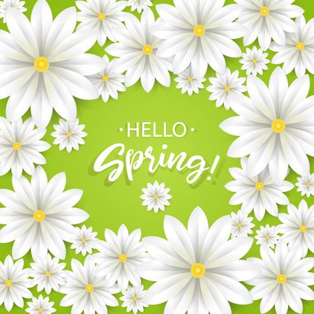 Hello Spring.Hand lettering with white flowers frame.Paper chamomile on green background. Vector illustration.のイラスト素材