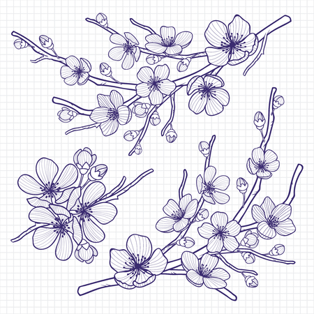 Sketch style flowering cherry or apple tree branch on notebook page . Hand drawn spring elements. Vector illustration.のイラスト素材